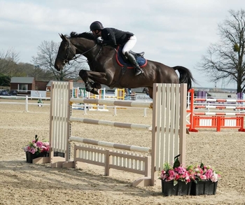 Mark Edwards Takes Nine Wins at the First Wales and West Show of the Season